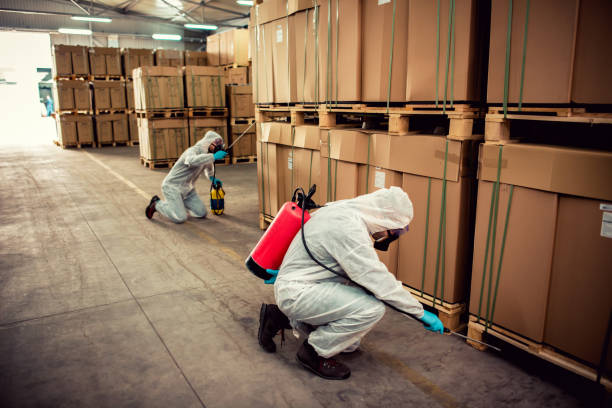Best Cockroach Control Services  in Providence, RI