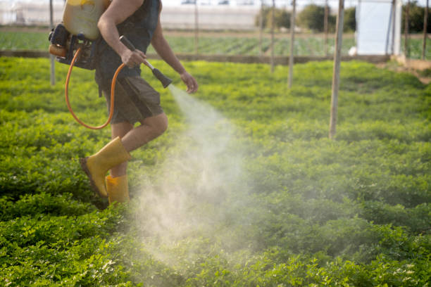 Best Best Pest Control Companies  in Providence, RI