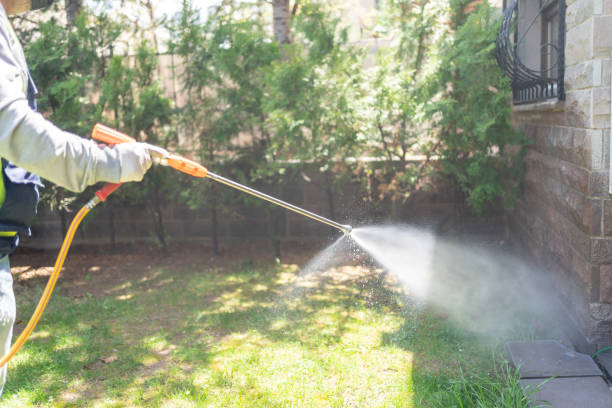 Best Wildlife Control Services  in Providence, RI