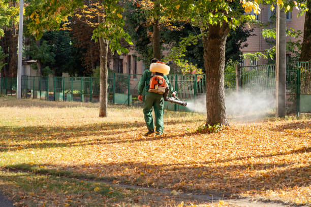 Best Bed Bug Extermination  in Providence, RI